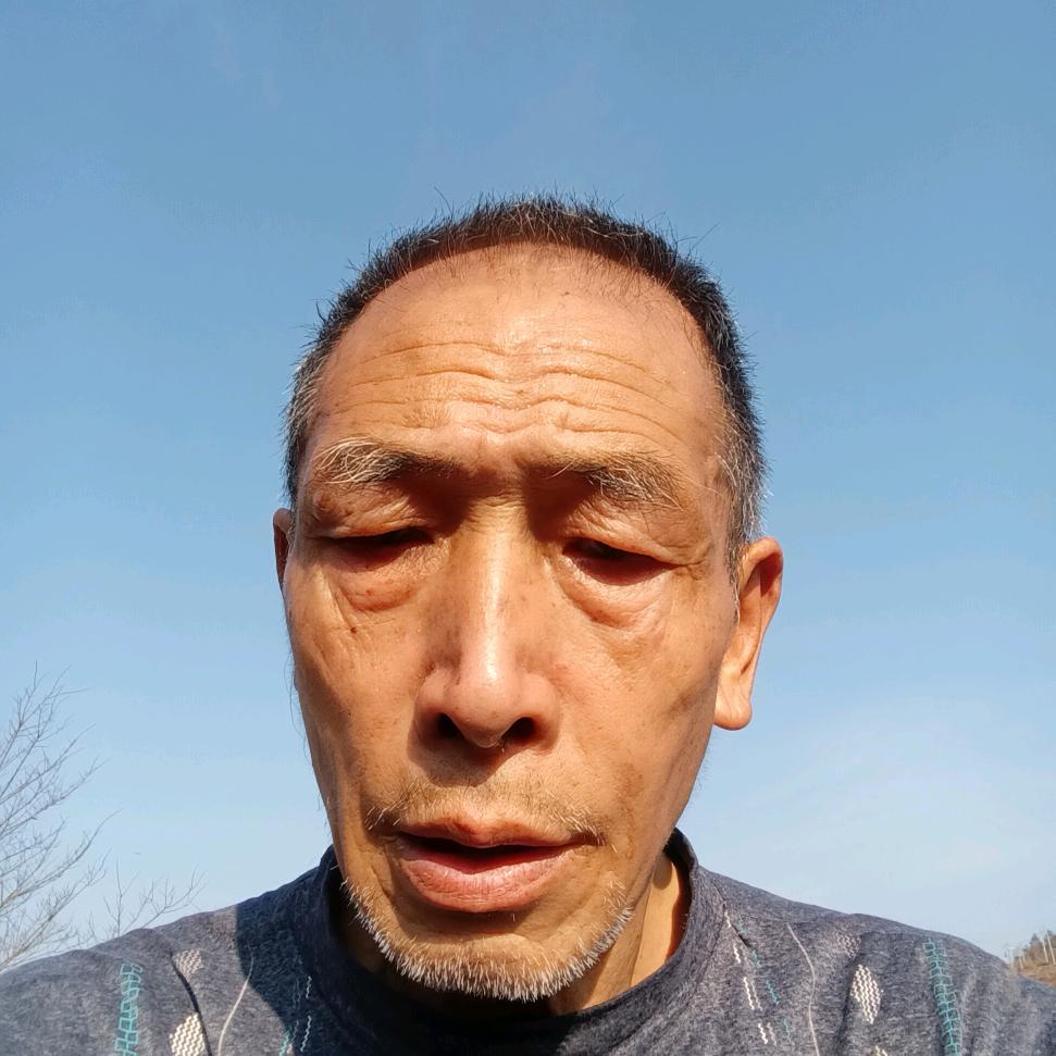 陶哥