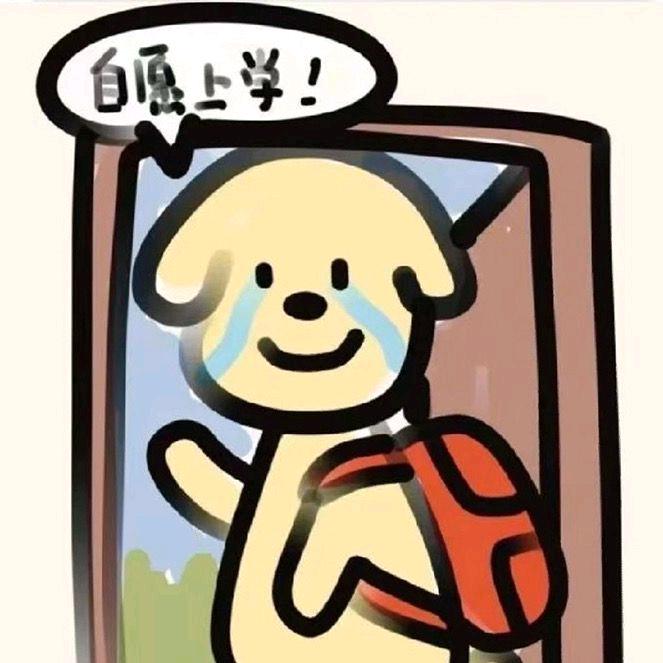 写给航宝的情书💌