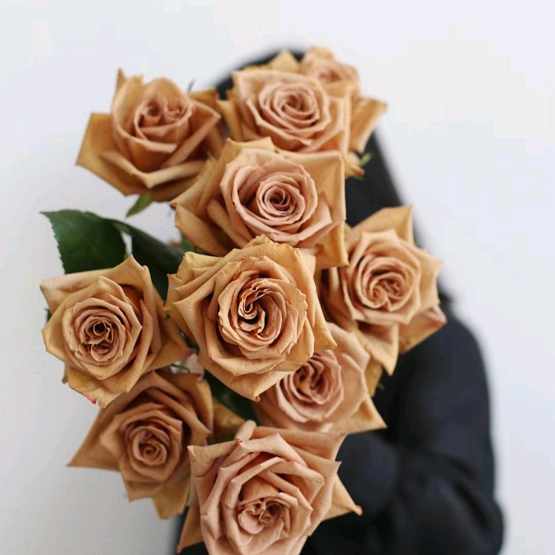 花与花匠鲜花绿植