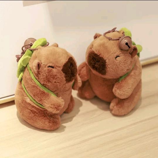 山茶花，白玫瑰