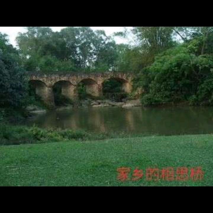 龚土孙