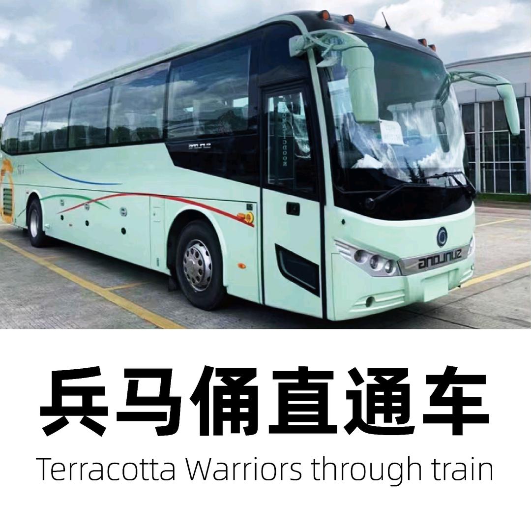 兵马俑丽山园铜车马直通车（钟楼集合发车）