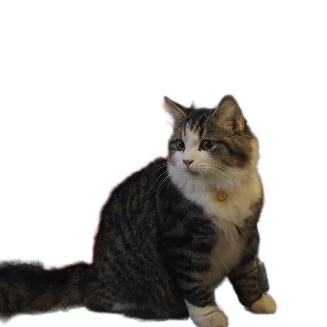 你永远胜过别人👨‍🚒