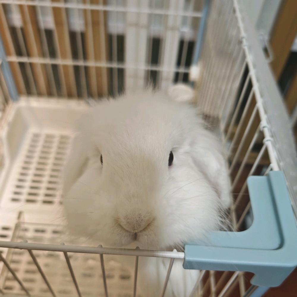 谁也别想我破防