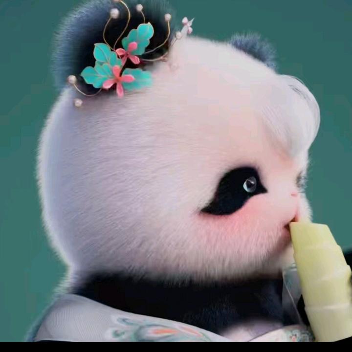 雪儿🌸🌸🌸