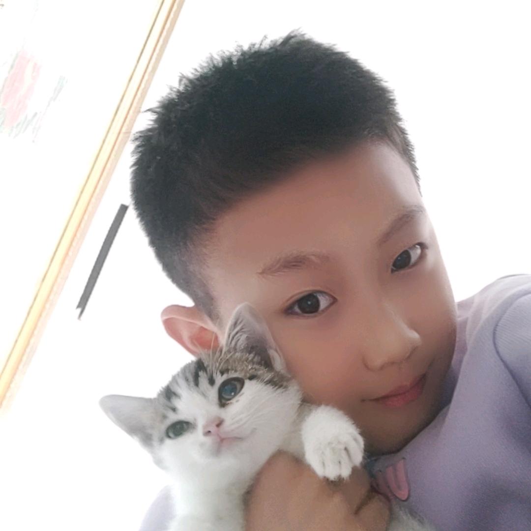 很爱小猫的 娱乐主播