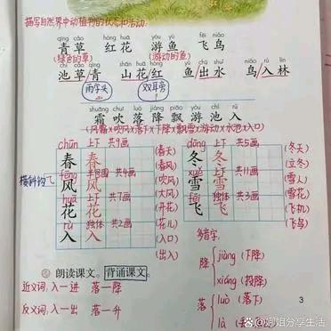 佳怡贝贝