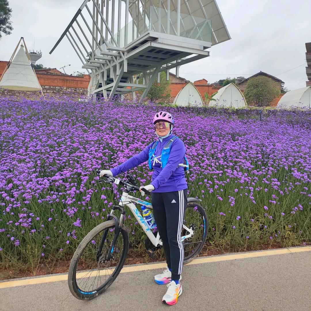 听牧牛肉—桂花