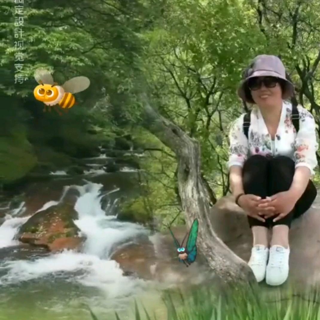 自由飞翔