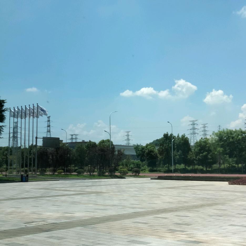 一片红叶