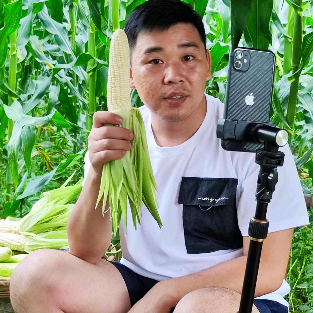 丹瓜:萍乡特产