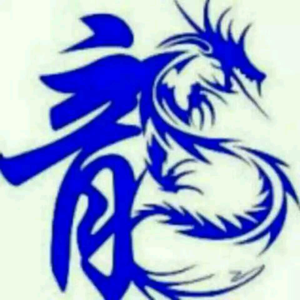 龍在天涯（辽宁省建平叶柏寿）