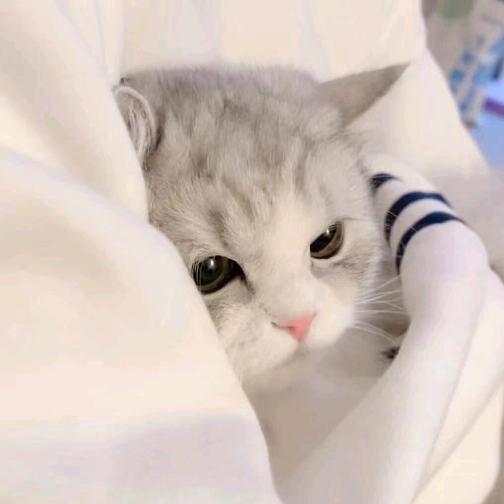 小雨神
