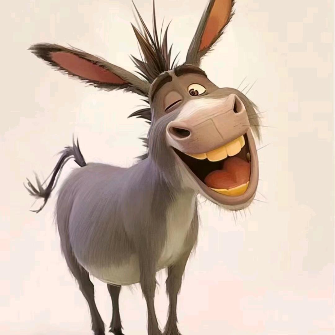 骑着蚊子上高速