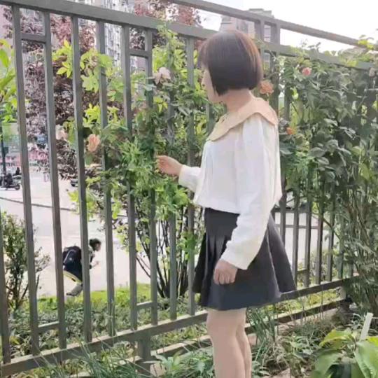 李好lihao1