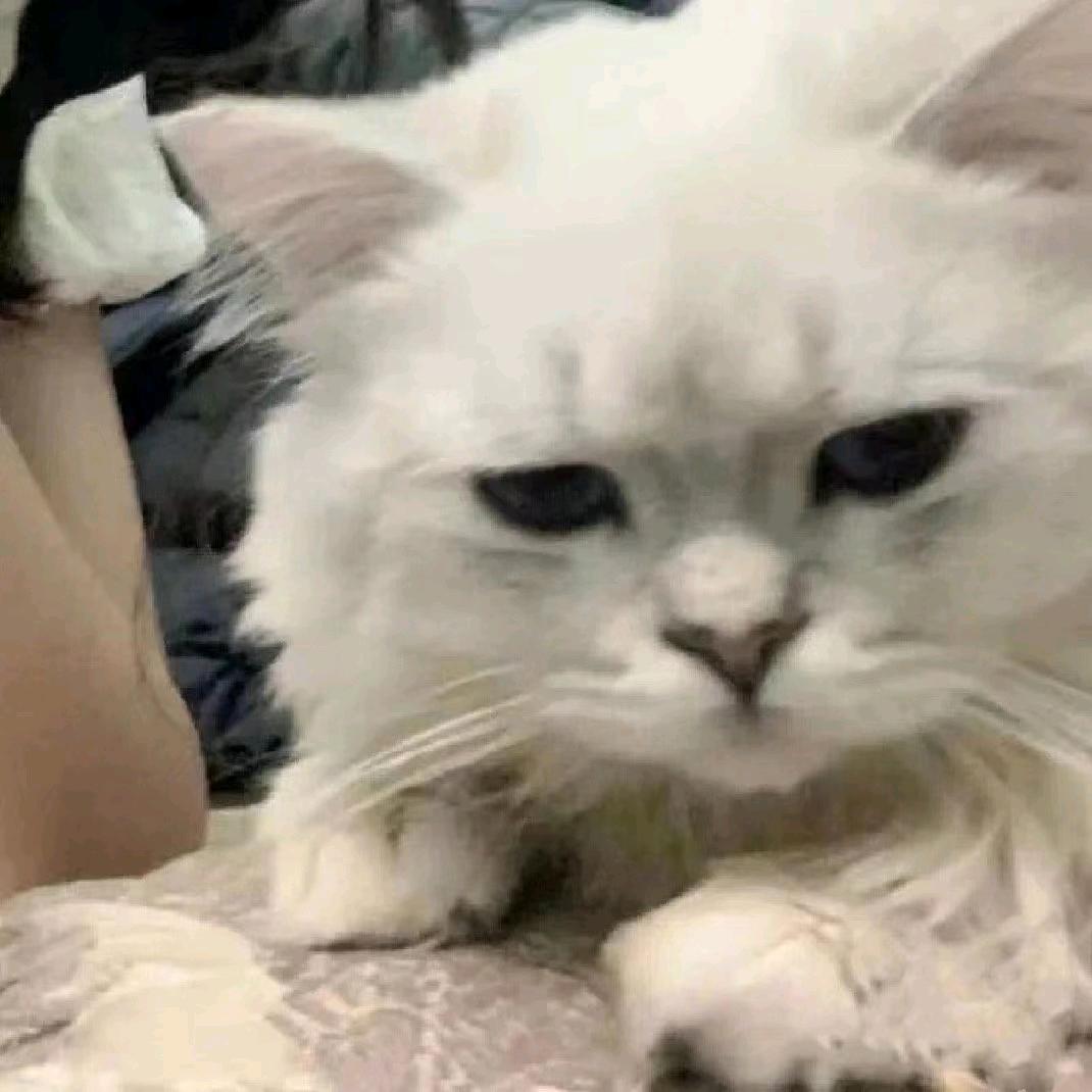 暗区突围pc 十亿