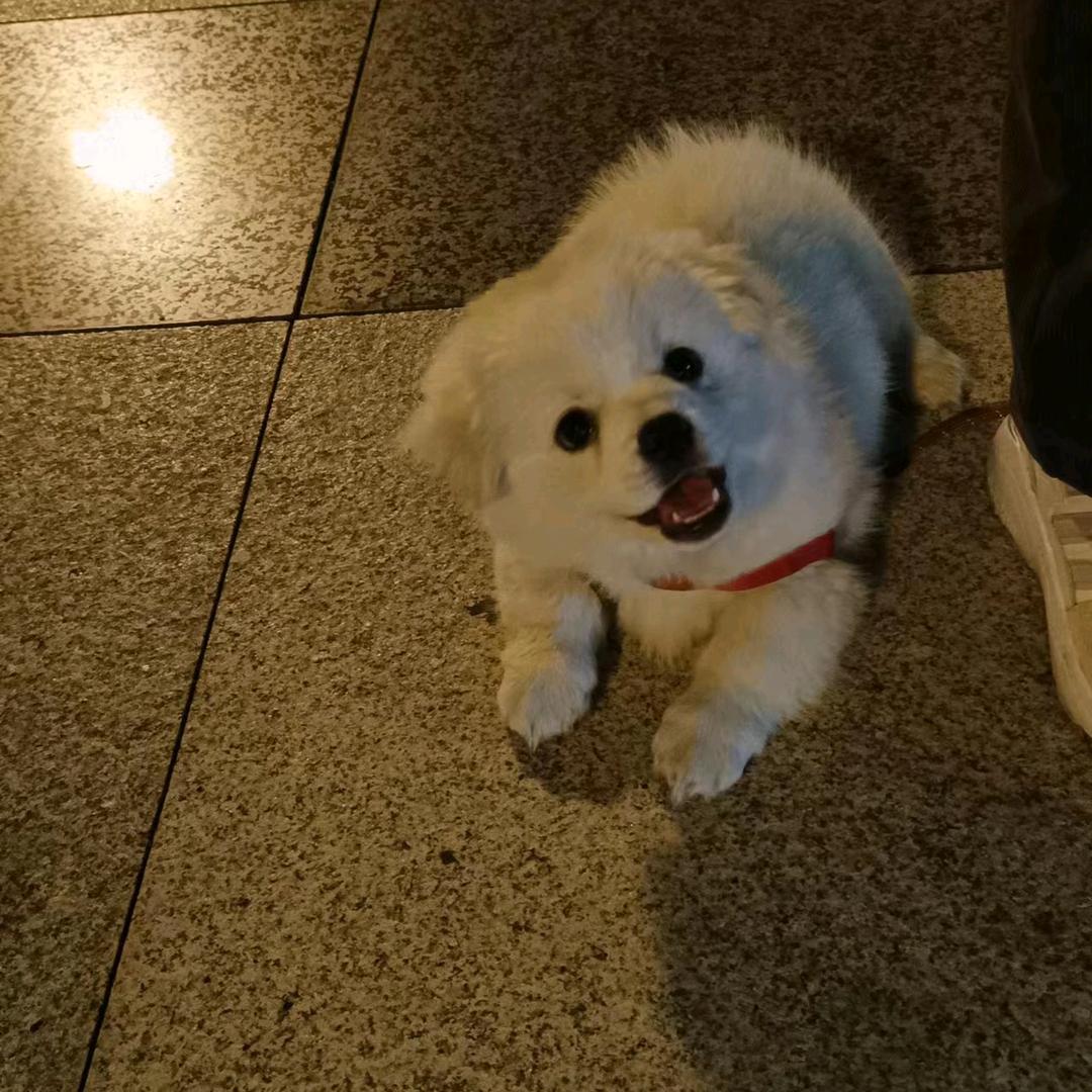 阿权权权权权