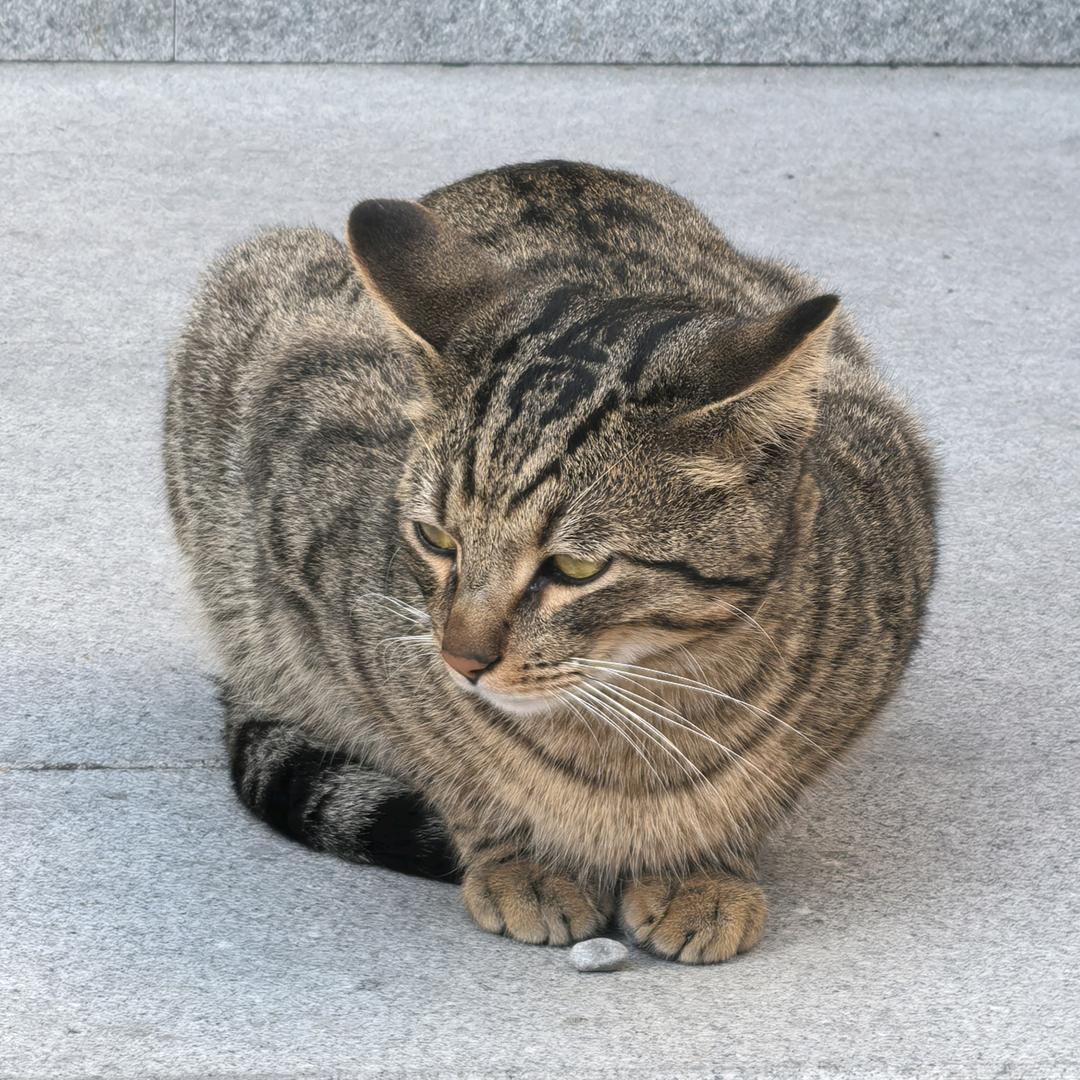 人间四月