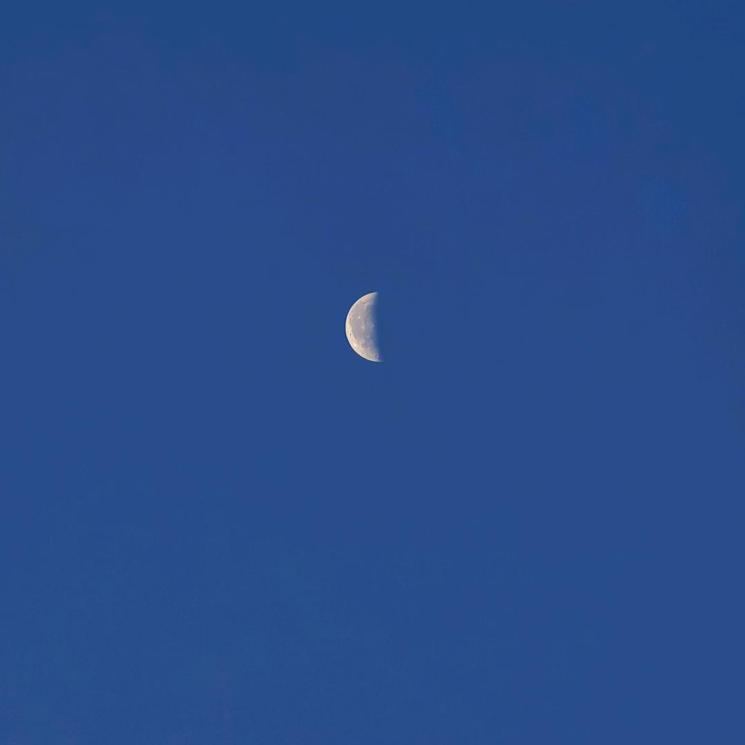 当年明月