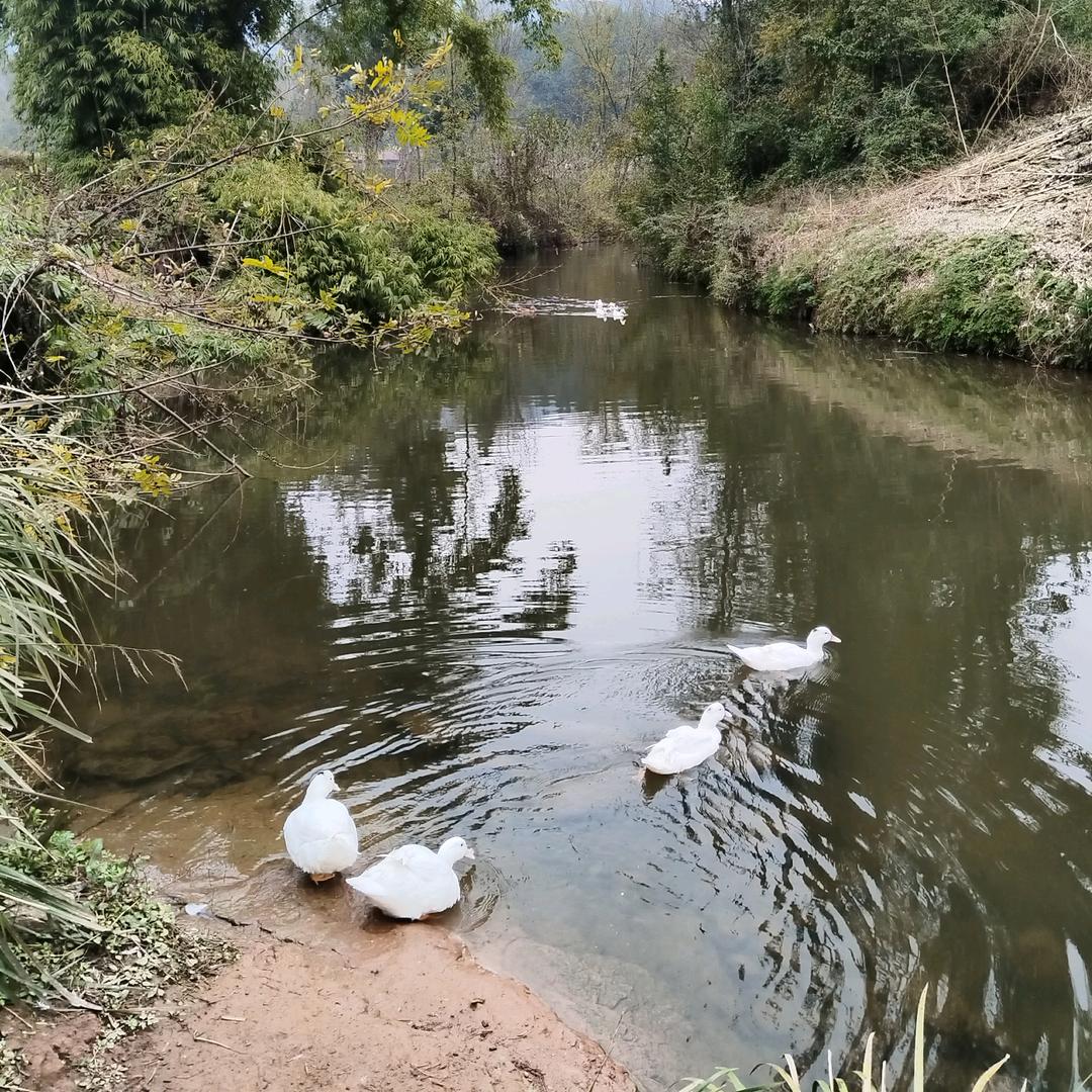 谯路（和雅舒适家）