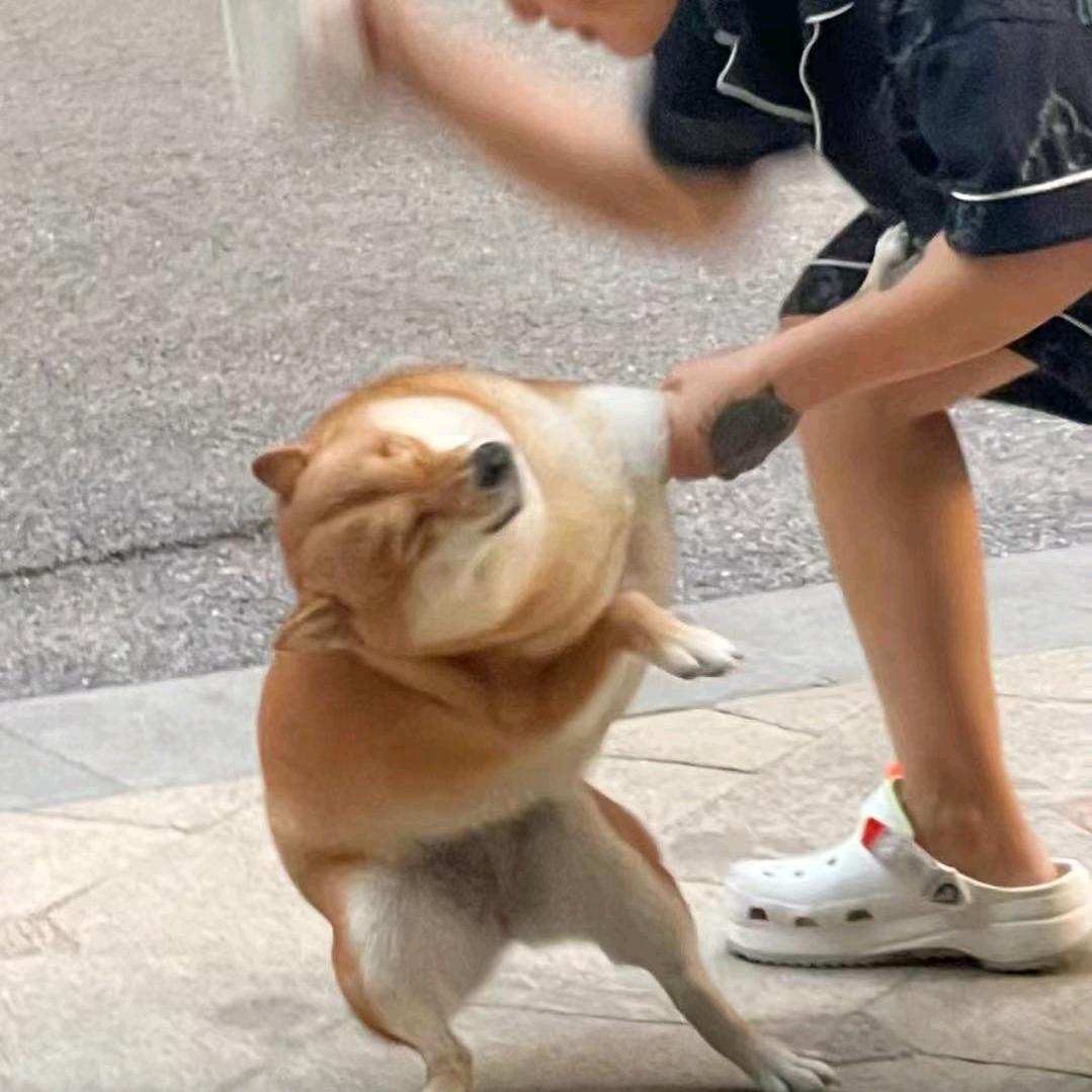叶湘伦y