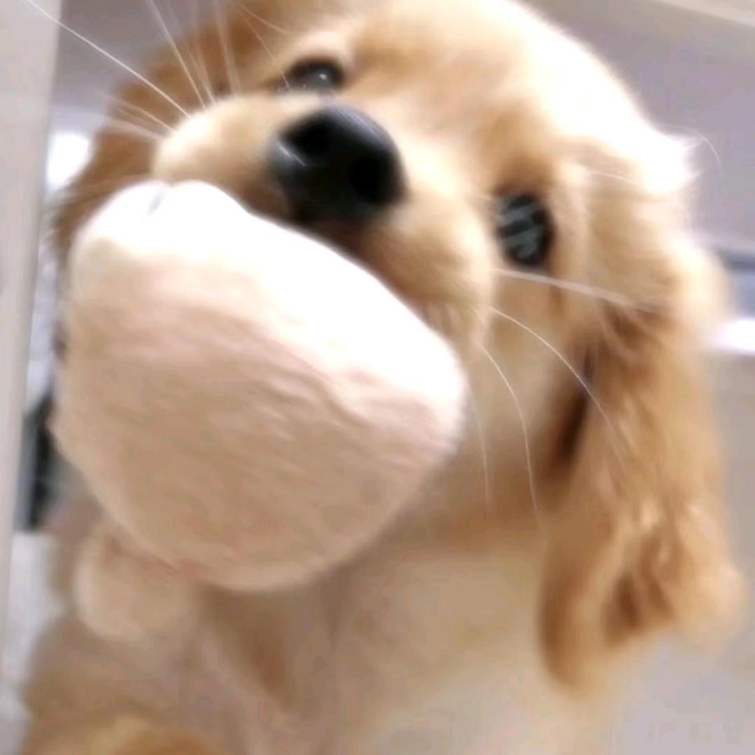 澄珩_