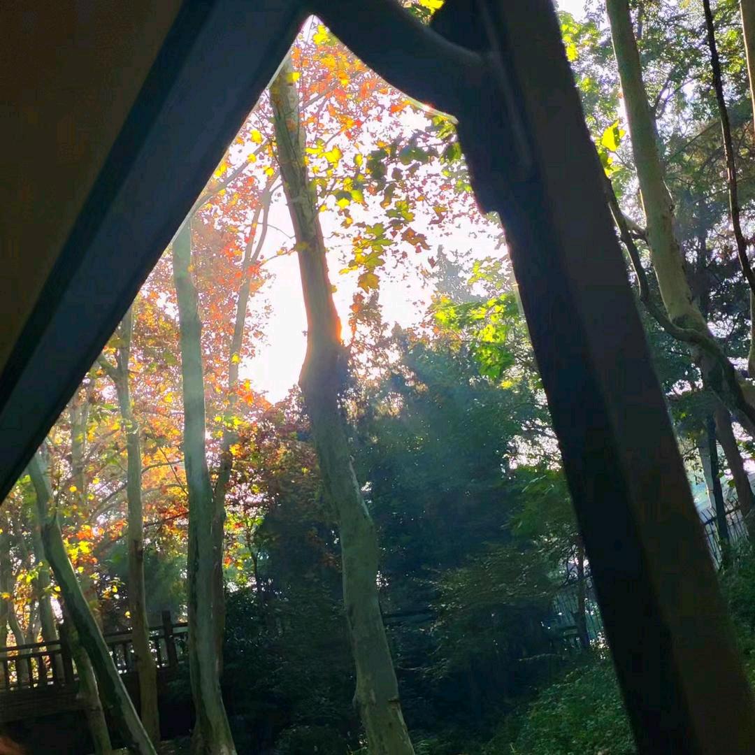 厌
