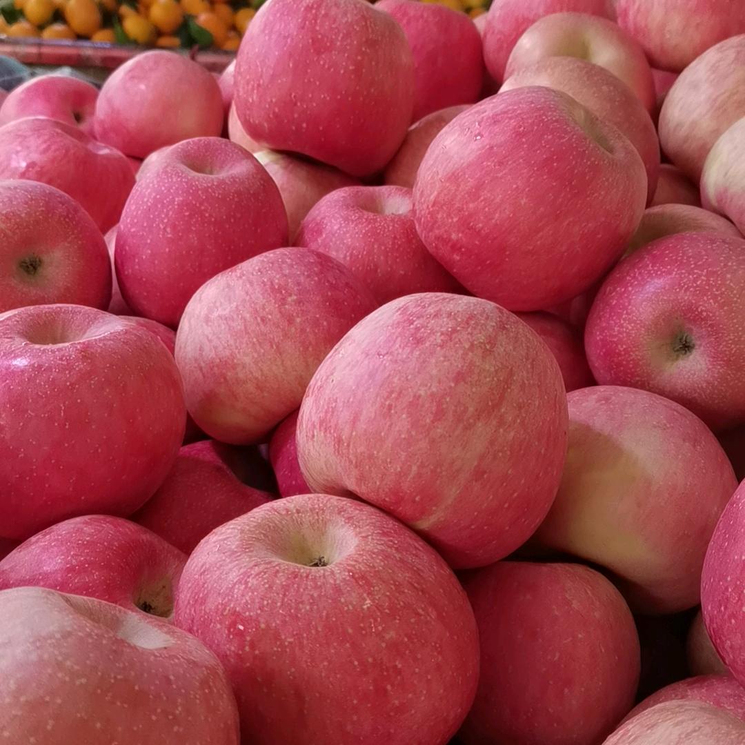68049794537洛川🍎