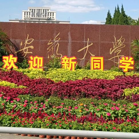 驾考中心徐教练