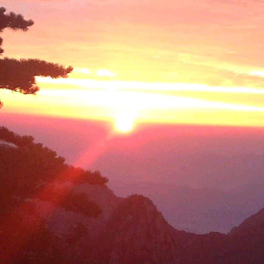 人生得意须尽欢