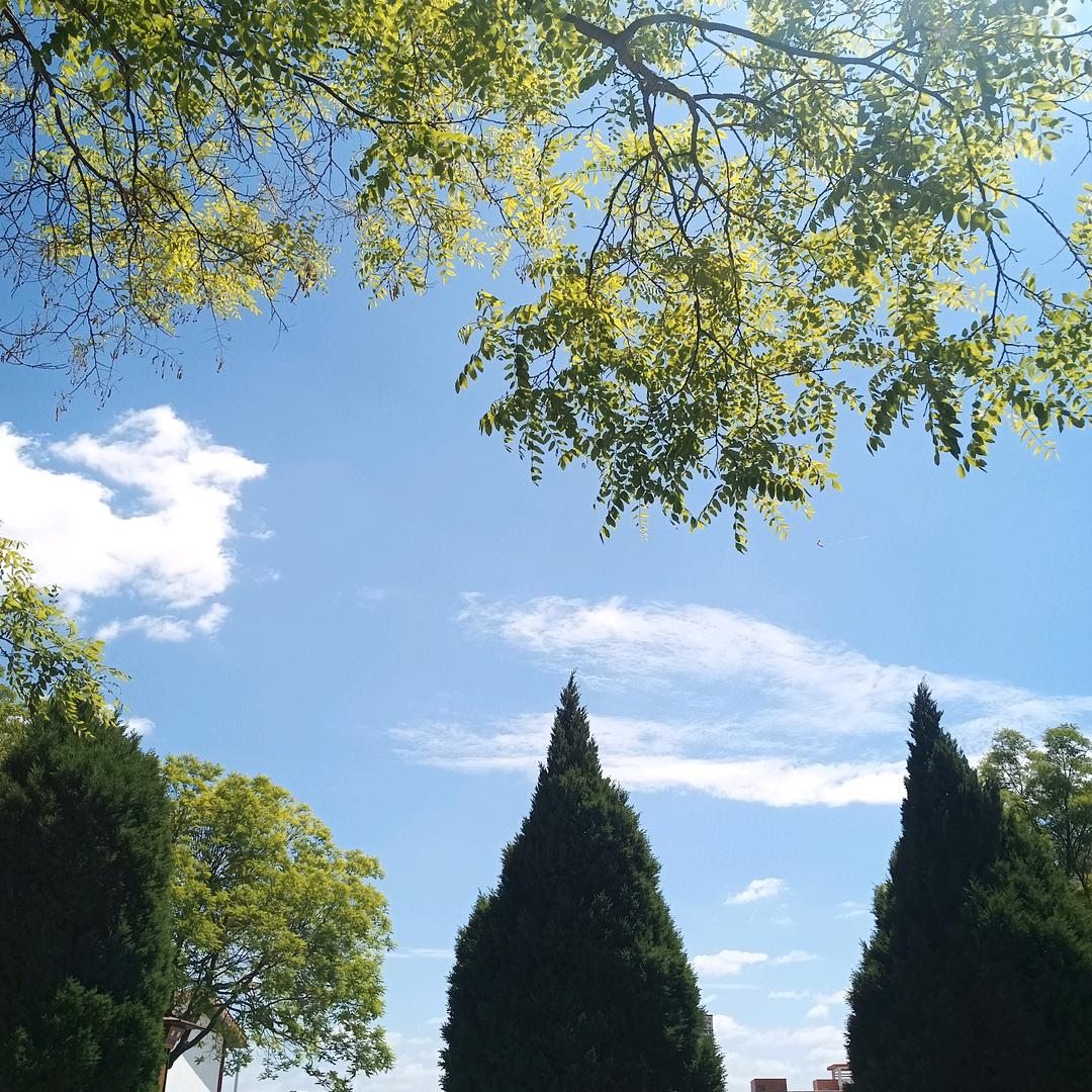 幸福浪哥