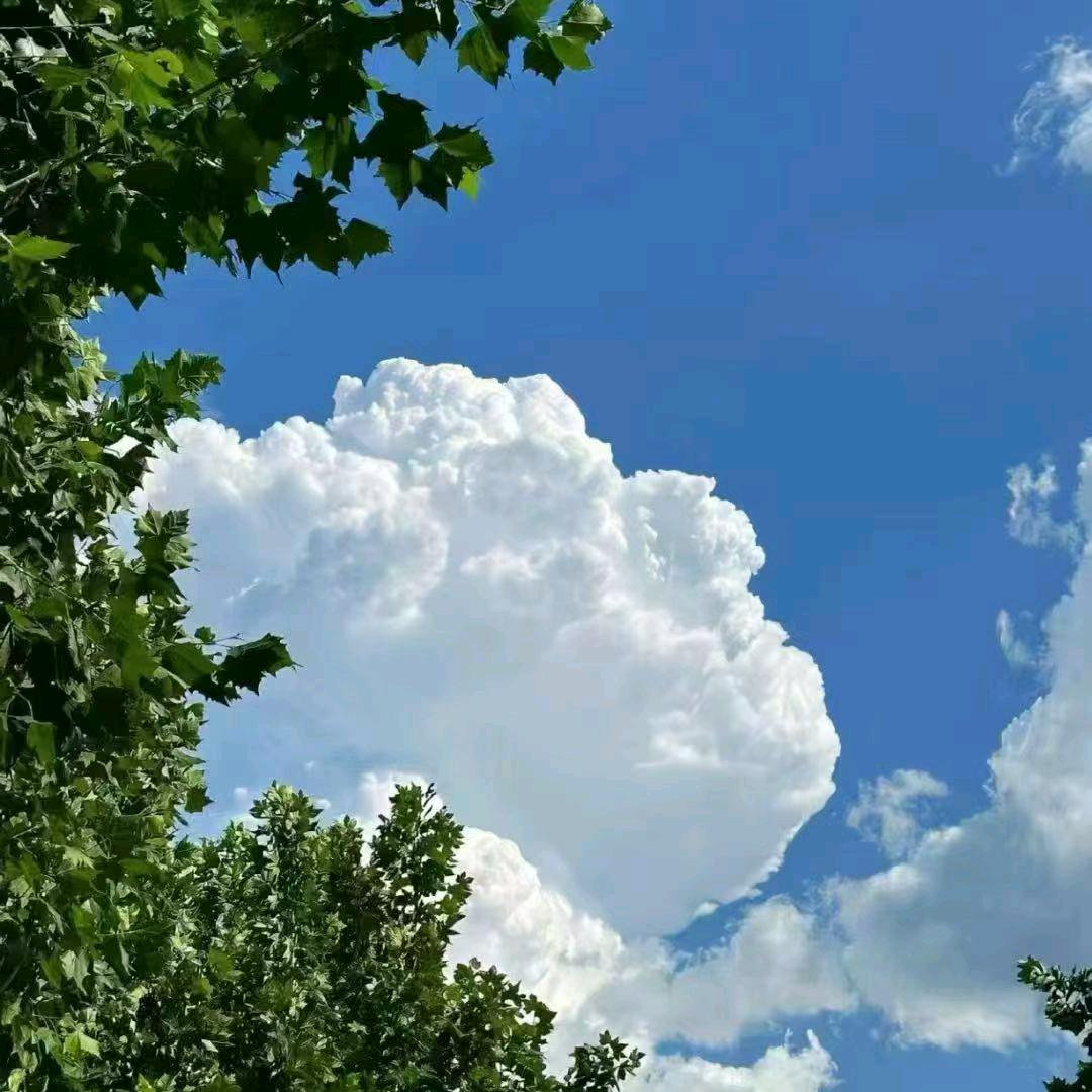 任意健身光谷188星推官 詹