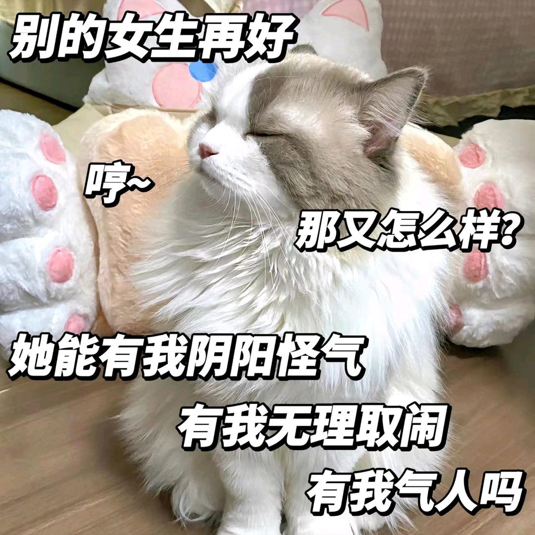 美业流量输送，新品项做业绩