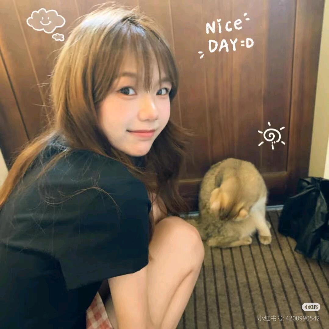 小张不会摇