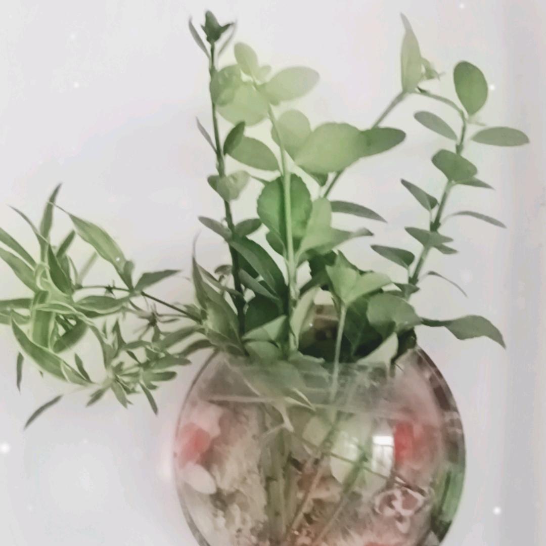 老魏