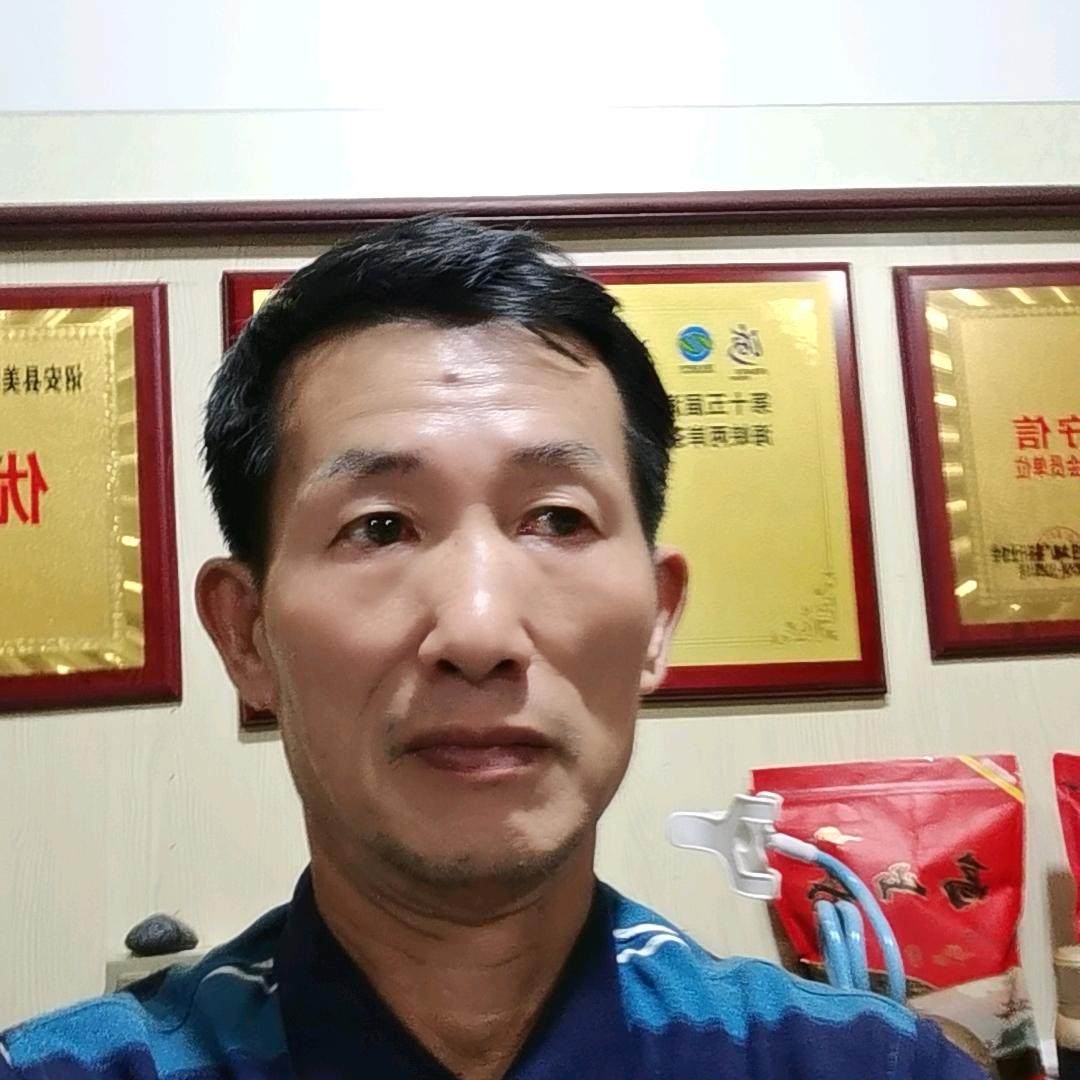 茶和山明
