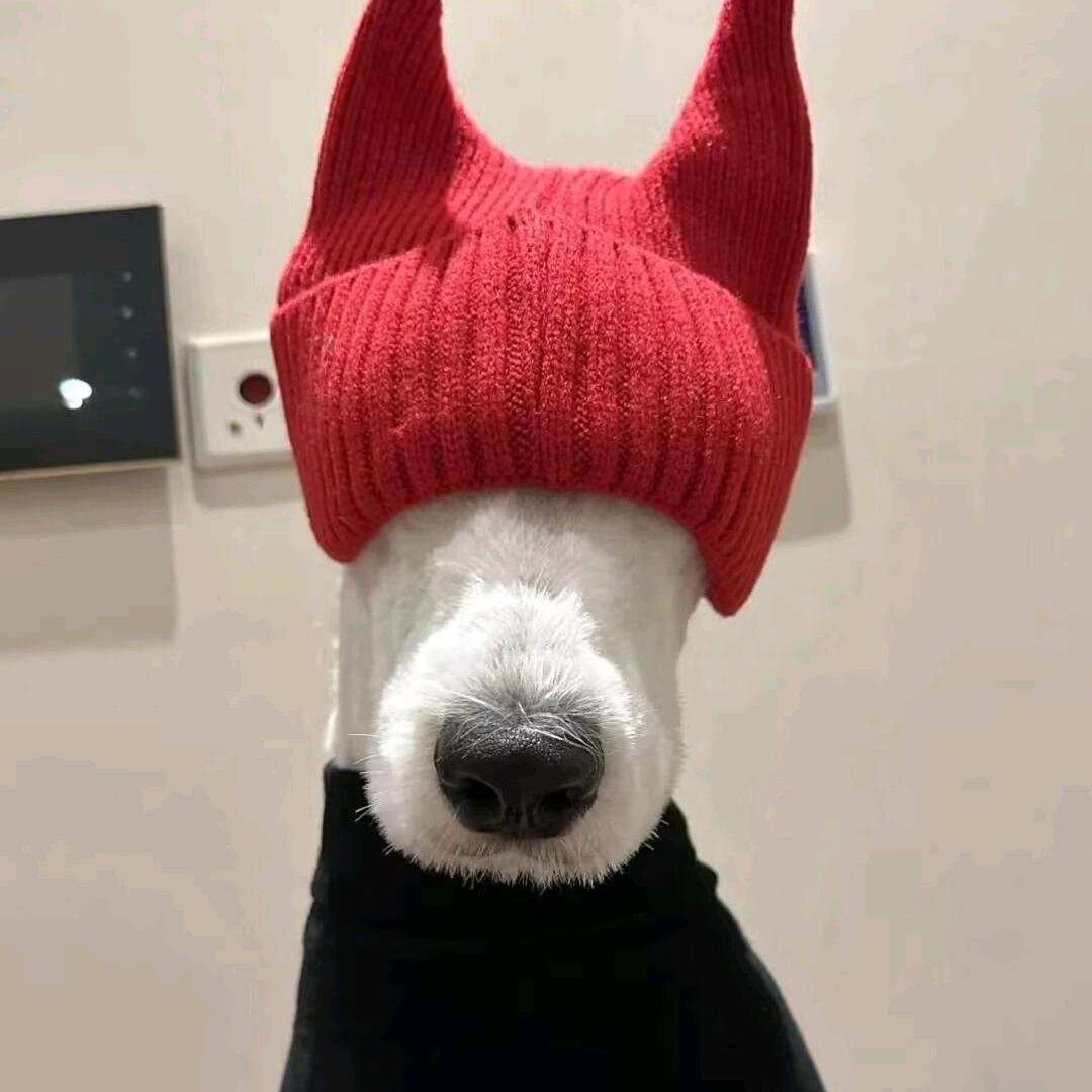 肖宇☁