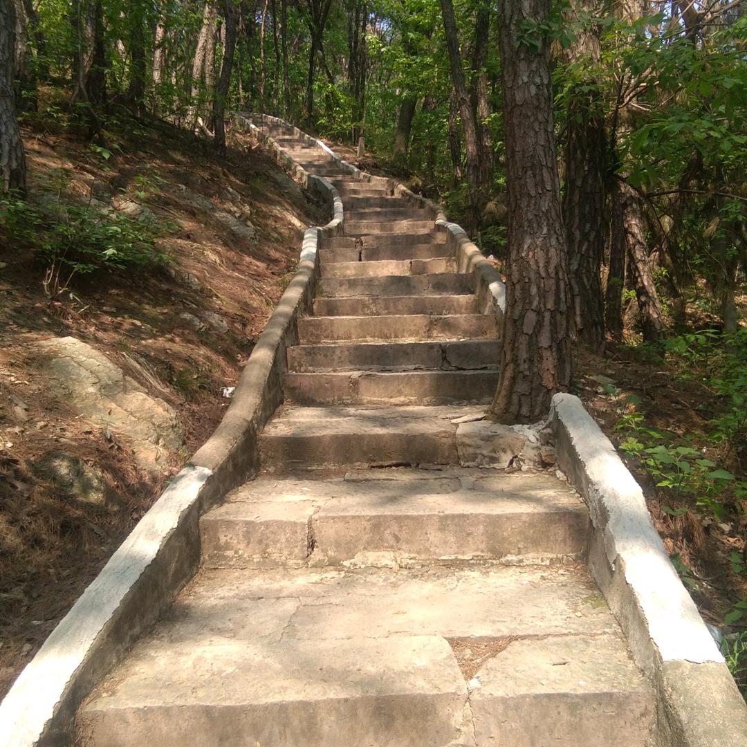 李传义