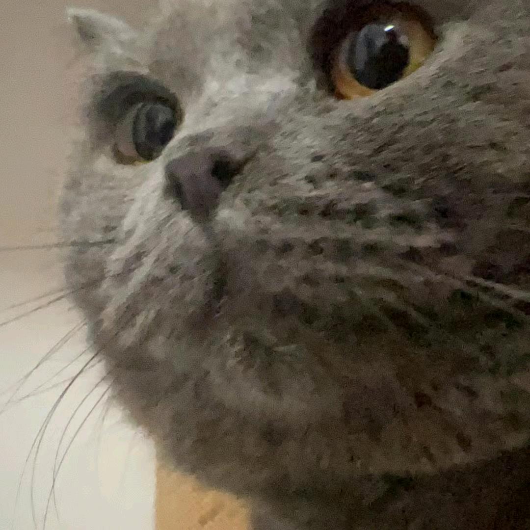 叫我肥肥但系我唔肥唔准话我肥🏸