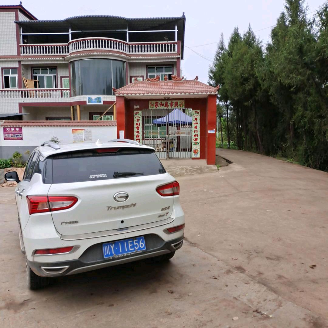 风中飘荡的回忆