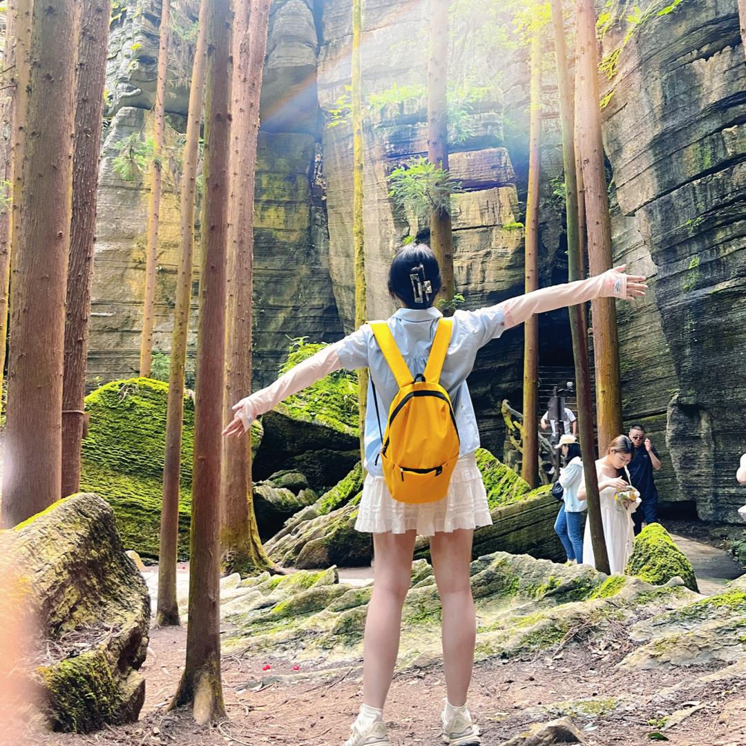 小狮子🦁