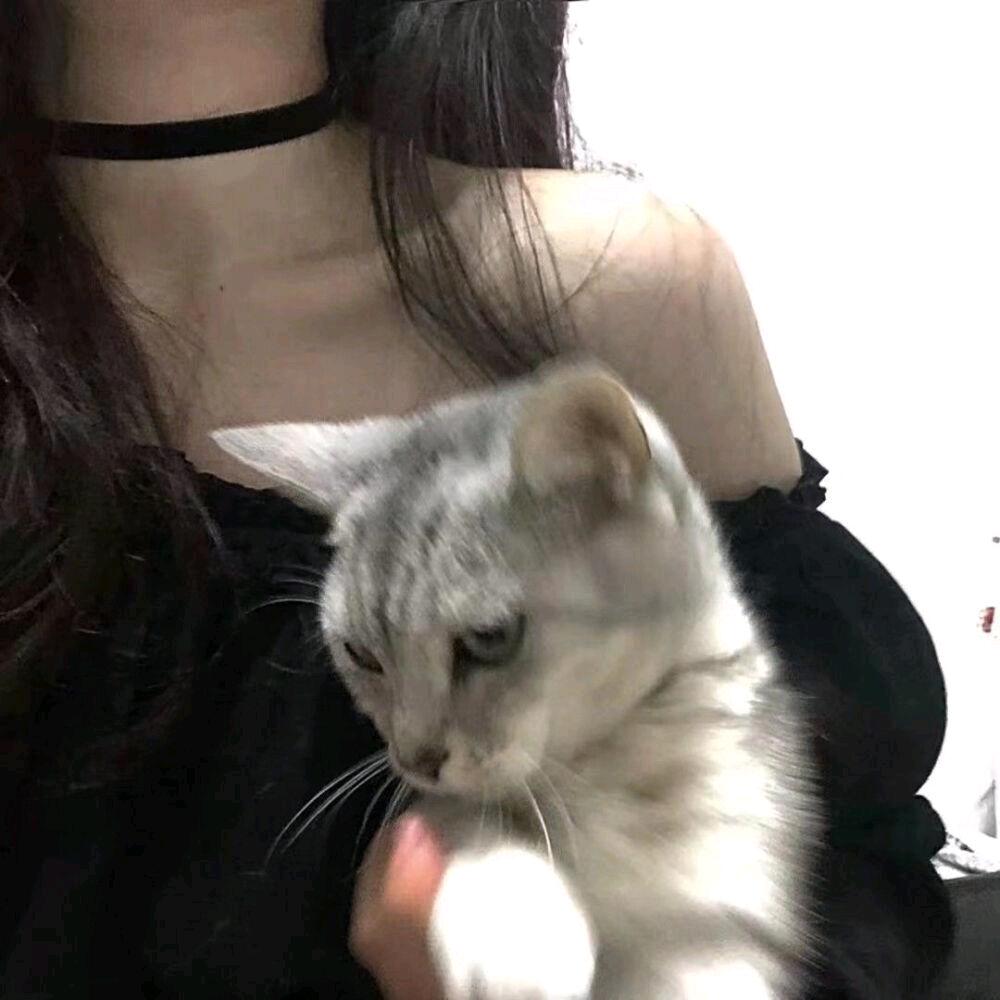 勋柚大炳
