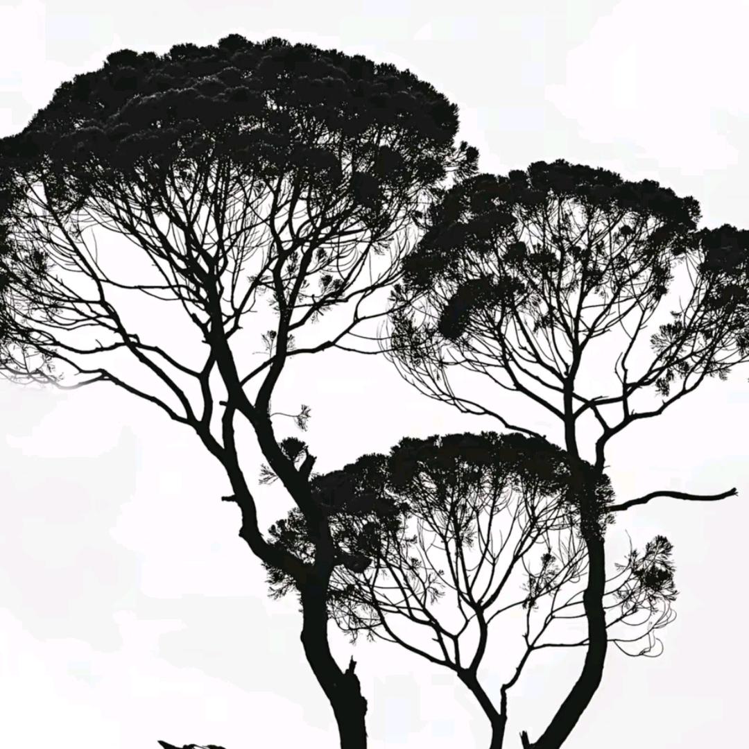 山谷.