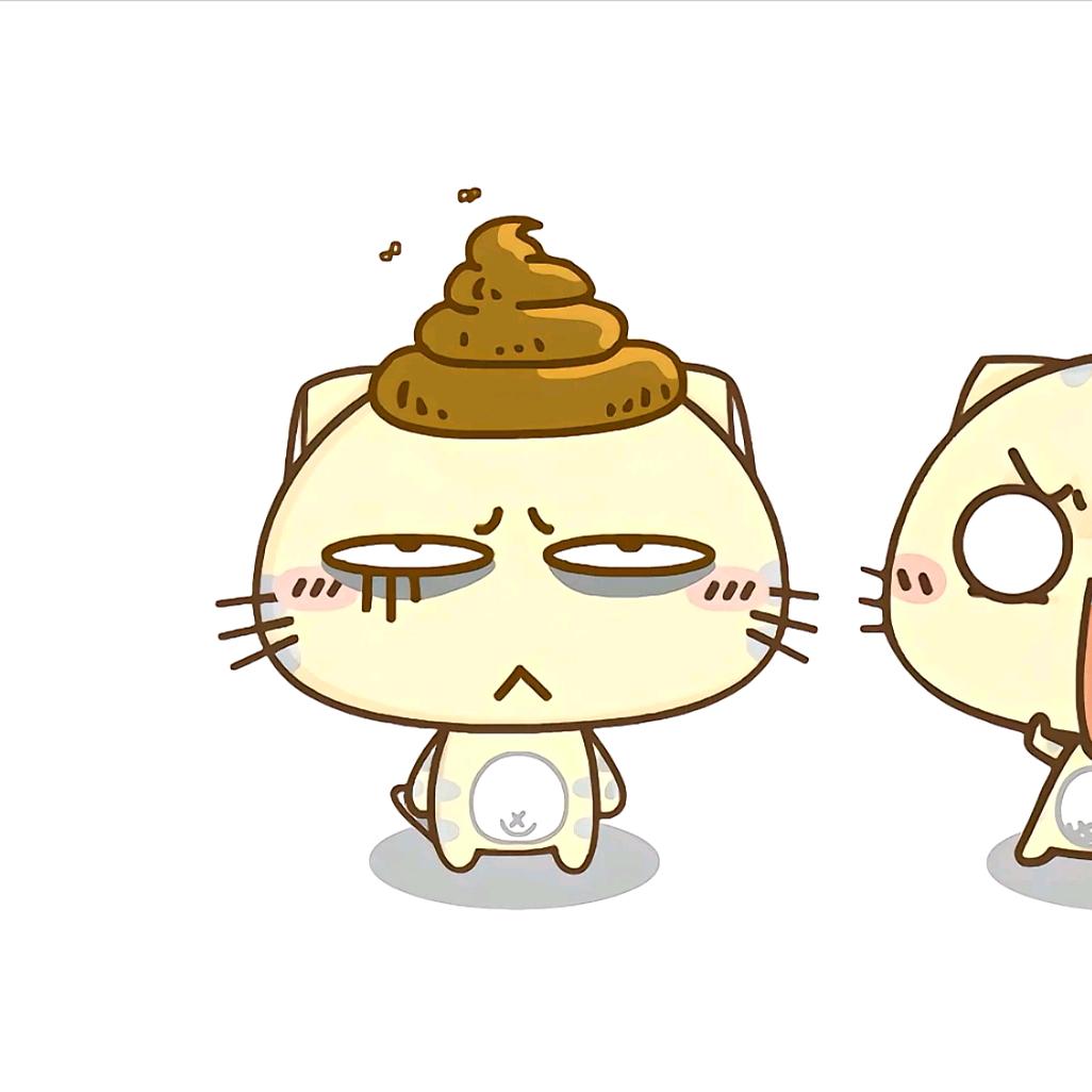章鱼年