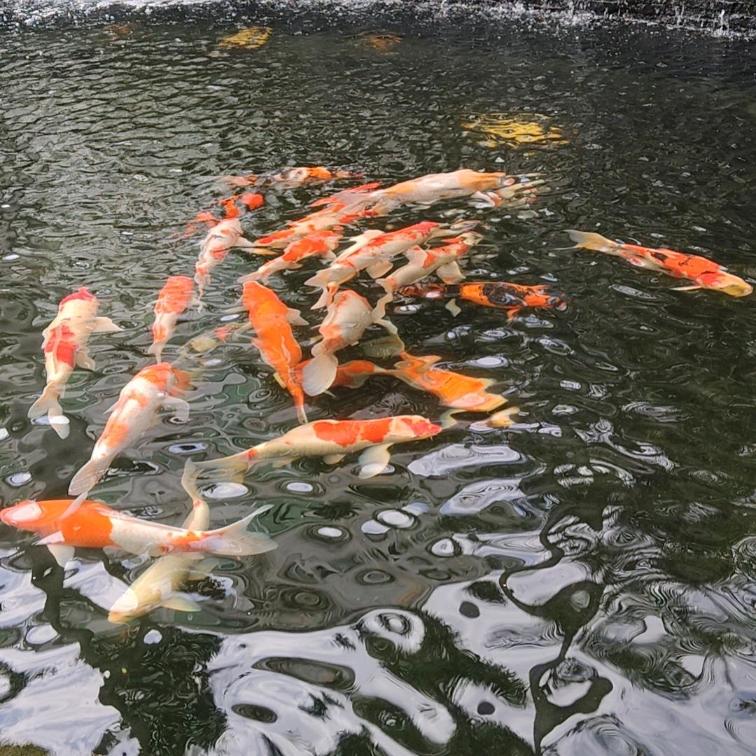 平安健康快乐成长