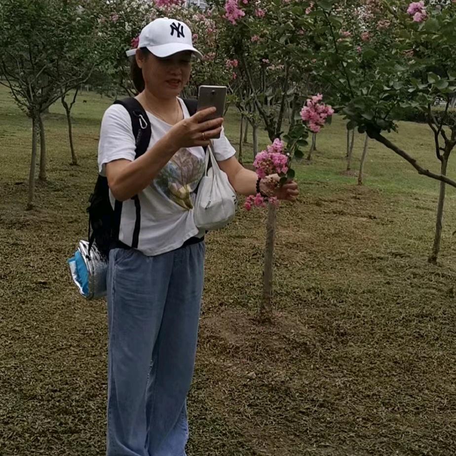 真善真美