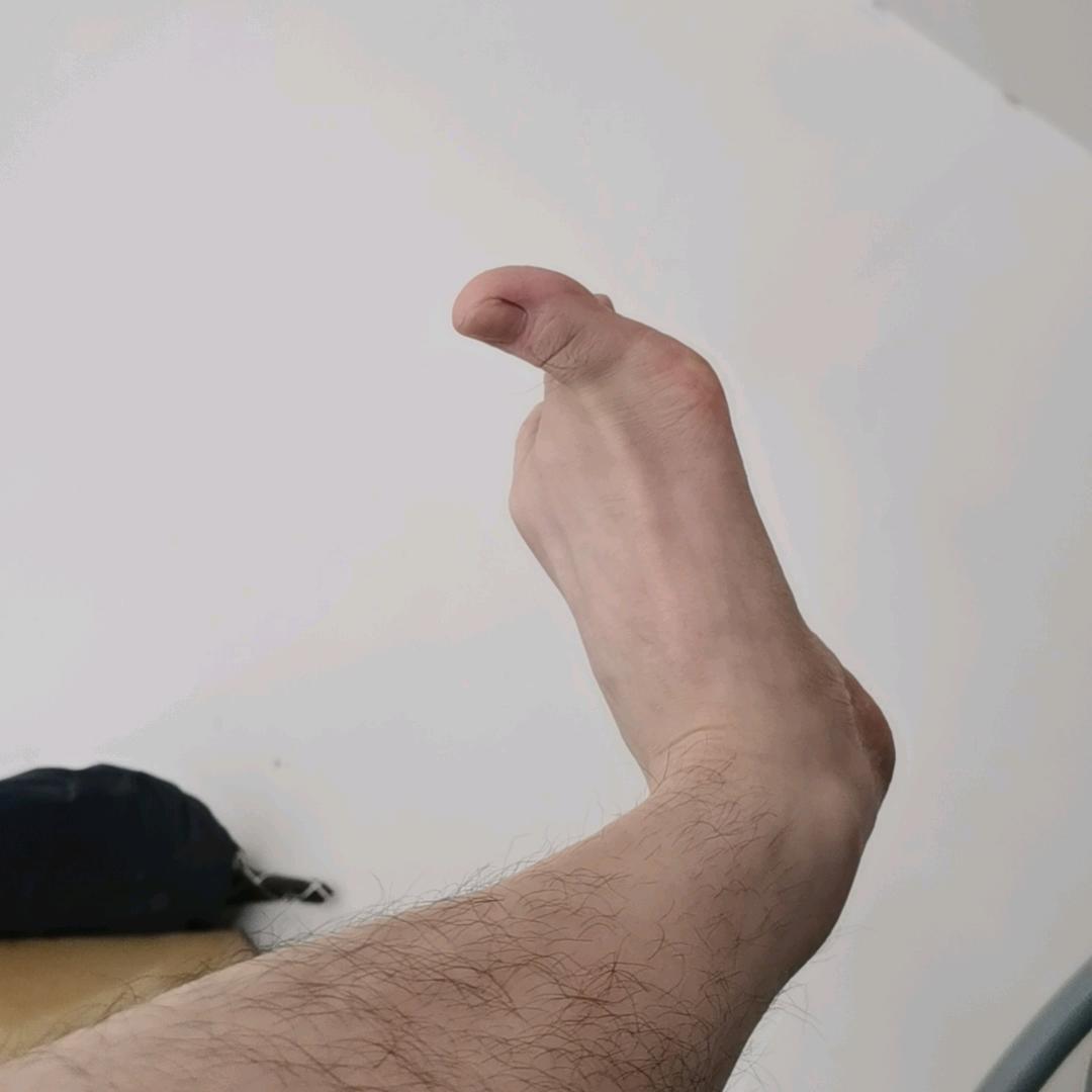 大狼狗