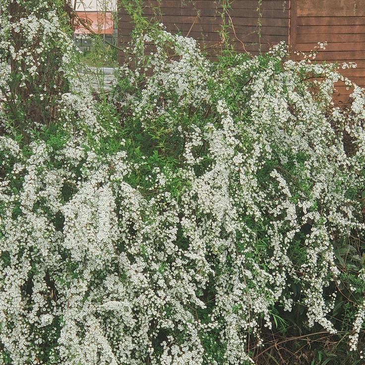 再喝一杯奶茶吧