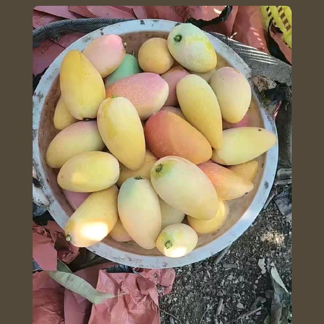 发财靠自己。