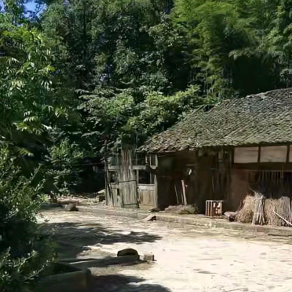 泸州姑娘